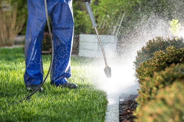 Curb Cleaning in Windsor